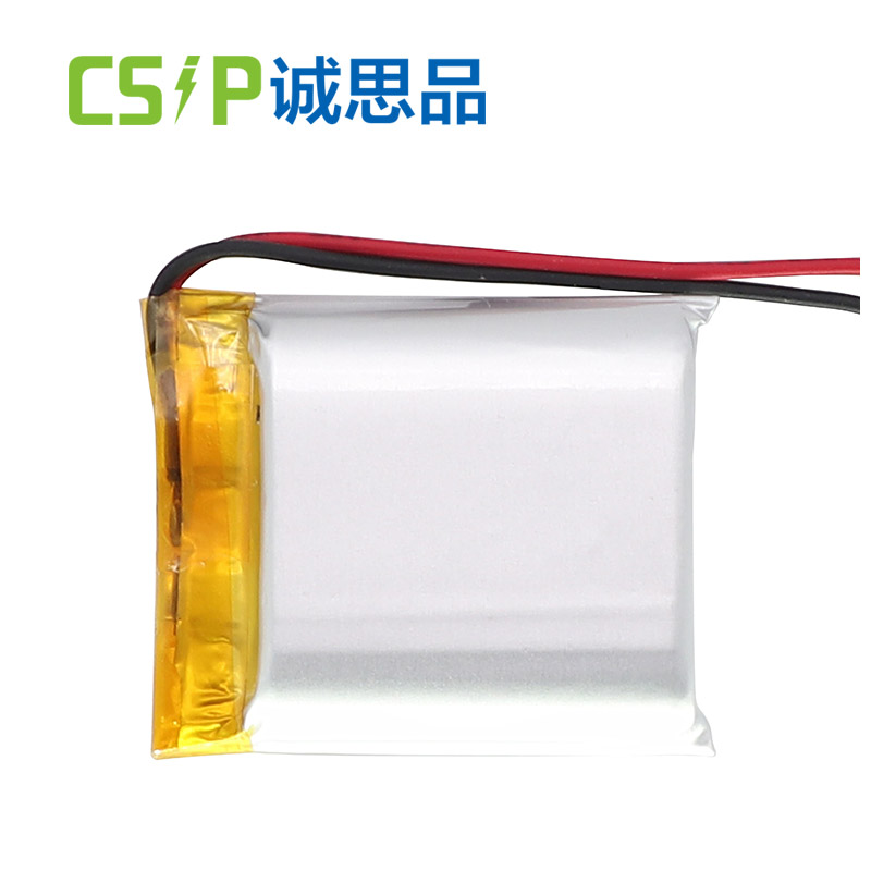 1100mAh 3.7V Portable Lithium Ion Battery Rechargeable 102834 CSIP