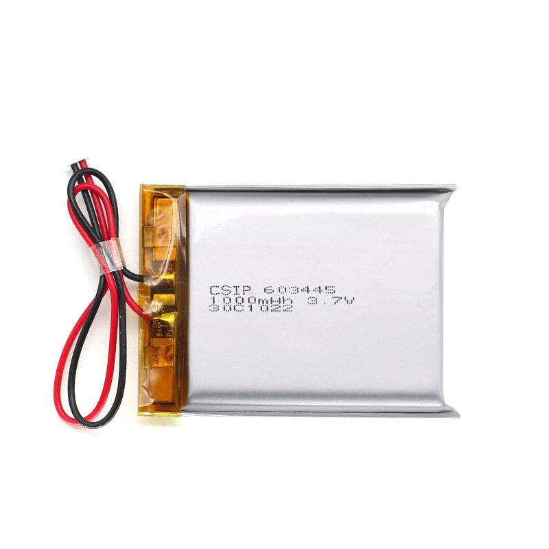 lion lithium batteries